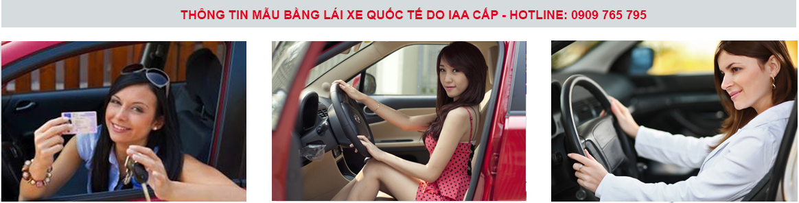 Đơn xin cấp đổi giấy phép lái xe Ô tô cho người nước ngoài ở Việt Nam