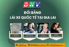 Đổi bằng lái xe quốc tế tại Gia Lai