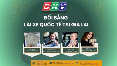 Đổi bằng lái xe quốc tế tại Gia Lai