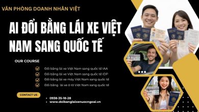 Ai đổi bằng lái xe Việt Nam sang quốc tế