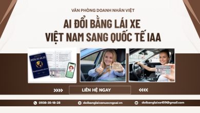 Ai đổi bằng lái xe Việt Nam sang quốc tế IAA