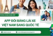 App đổi bằng lái xe Việt Nam sang quốc tế