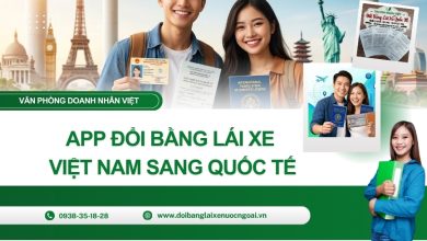 App đổi bằng lái xe Việt Nam sang quốc tế