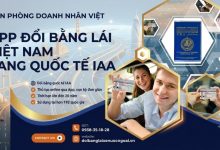 App đổi bằng lái xe Việt Nam sang quốc tế IAA