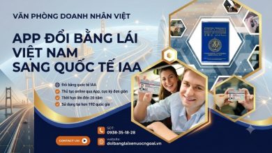 App đổi bằng lái xe Việt Nam sang quốc tế IAA