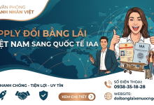 Apply đổi bằng lái xe Việt Nam sang quốc tế IAA