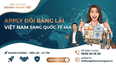 Apply đổi bằng lái xe Việt Nam sang quốc tế IAA