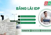 Bằng lái IDP
