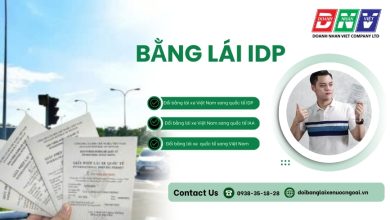 Bằng lái IDP