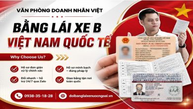 Bằng lái xe B Việt Nam quốc tế