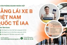 Bằng lái xe B Việt Nam quốc tế IAA