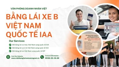 Bằng lái xe B Việt Nam quốc tế IAA