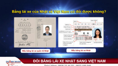 Bằng lái xe của Nhật về Việt Nam có đổi được không