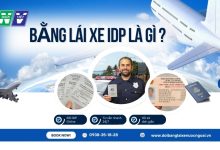 Bằng lái xe IDP là gì