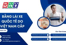 Bằng lái xe quốc tế do Việt Nam cấp
