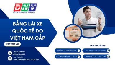 Bằng lái xe quốc tế do Việt Nam cấp