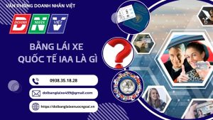 Bằng lái xe quốc tế IAA là gì ?