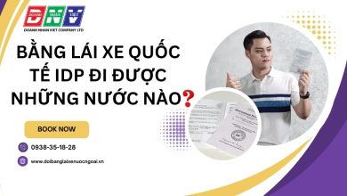 Bằng lái xe quốc tế IDP đi được những nước nào
