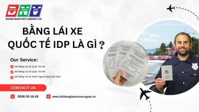 Bằng lái xe quốc tế IDP là gì ?