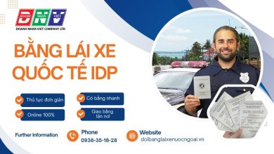 Bằng lái xe quốc tế IDP