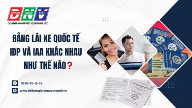 Bằng lái xe quốc tế IDP và IAA khác nhau như thế nào
