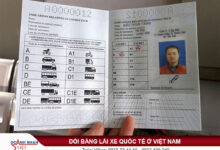Bằng lái xe quốc tế ở Việt Nam