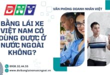 Bằng lái xe Việt Nam có dùng được ở nước ngoài không