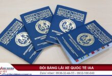 Cách đổi bằng lái xe quốc tế IAA