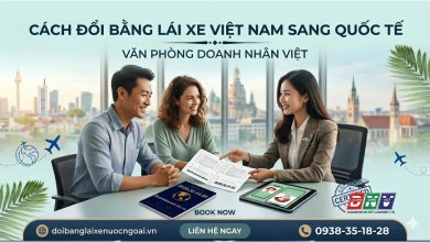 Cách đổi bằng lái xe Việt Nam sang quốc tế