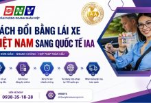 Cách đổi bằng lái xe Việt Nam sang quốc tế IAA