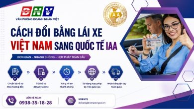 Cách đổi bằng lái xe Việt Nam sang quốc tế IAA