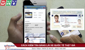 Cách kiểm tra bằng lái xe quốc tế IAA thật giả