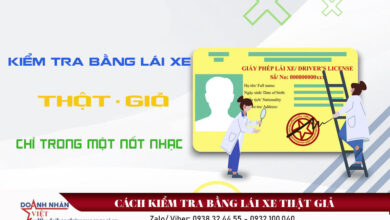 Cách kiểm tra bằng lái xe thật giả