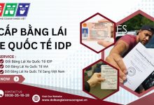 Cấp bằng lái xe quốc tế IDP