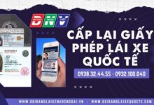 Cấp lại giấy phép lái xe quốc tế