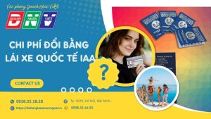 Chi phí đổi bằng lái quốc tế IAA