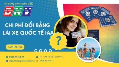 Chi phí đổi bằng lái quốc tế IAA