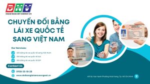 Chuyển đổi bằng lái xe quốc tế sang Việt Nam