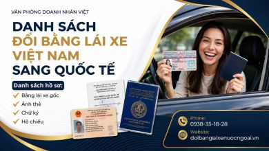 Danh sách đổi bằng lái xe Việt Nam sang quốc tế