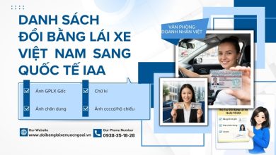 Danh sách đổi bằng lái xe Việt Nam sang quốc tế IAA