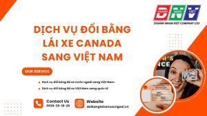 Dịch vụ đổi bằng lái xe Canada sang Việt Nam