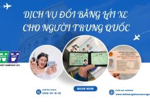 Dịch vụ đổi bằng lái xe cho người Trung Quốc