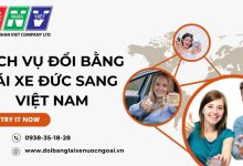 Dịch vụ đổi bằng lái xe Đức sang Việt Nam