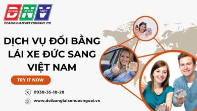 Dịch vụ đổi bằng lái xe Đức sang Việt Nam