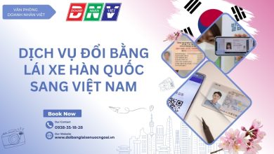 Dịch vụ đổi bằng lái xe Hàn Quốc sang Việt Nam