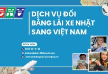 Dịch vụ đổi bằng lái xe Nhật sang Việt Nam