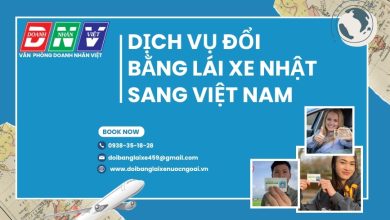 Dịch vụ đổi bằng lái xe Nhật sang Việt Nam