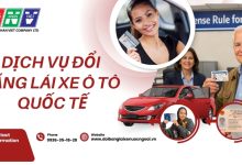 Dịch vụ đổi bằng lái xe ô tô quốc tế