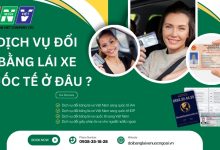 Dịch vụ đổi bằng lái xe quốc tế ở đâu