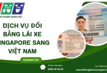 Dịch vụ đổi bằng lái xe Singapore sang Việt Nam